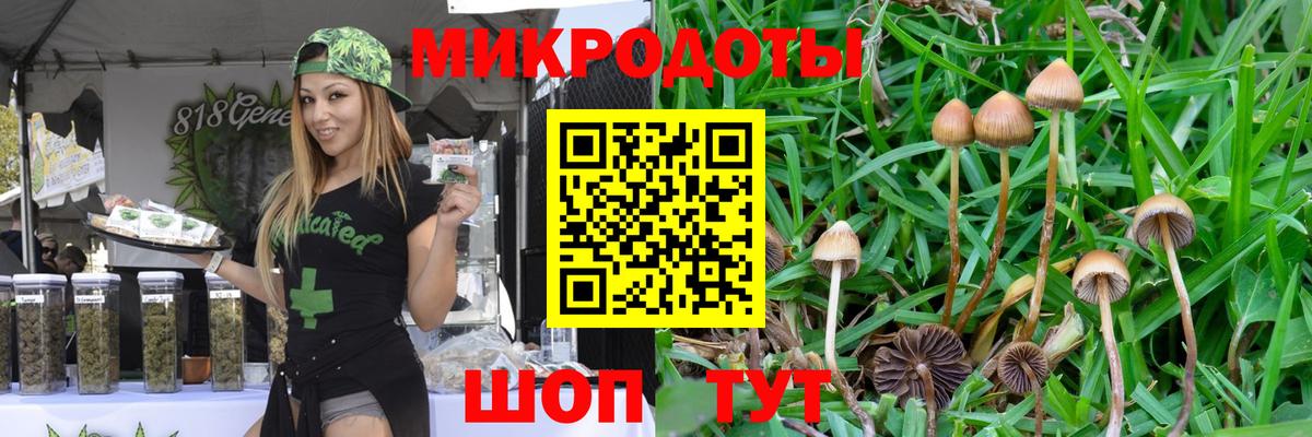 Галлюциногенные грибы GOLDEN TEACHER Урус-Мартан