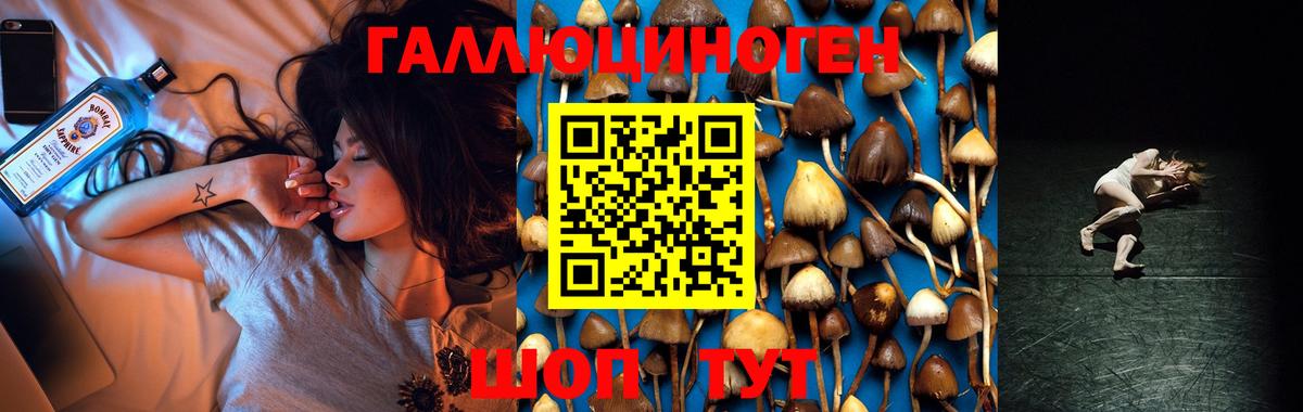 Псилоцибиновые грибы Psilocybe  Вход с VPN  купить закладку  Урус-Мартан 