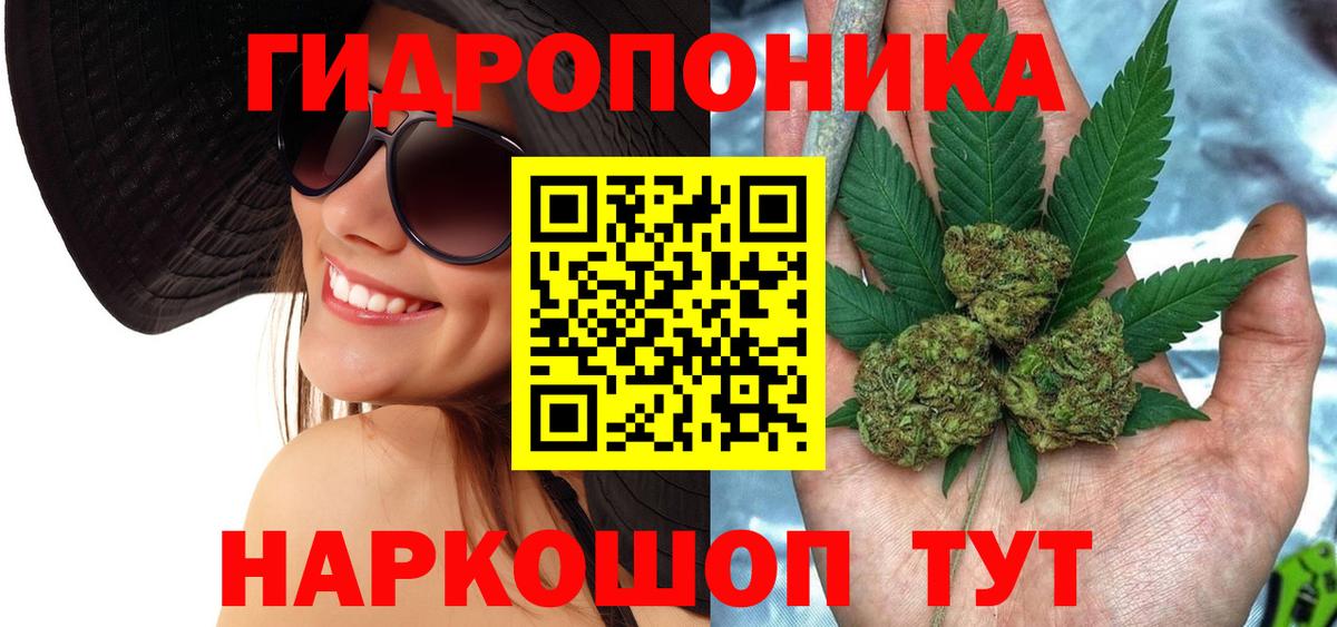 Урус-Мартан  Конопля THC 21%  Вход с VPN  МАРИХУАНА семена  Марихуана индика 